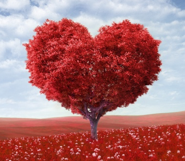 Heart Tree